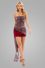 Draped Leopard Mesh Velvet Mini Dress | Dress In Beauty