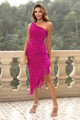 One Shoulder Fringe Trim Sequin Dress