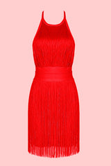 Halter Neck Backless Fringed Mini Dress