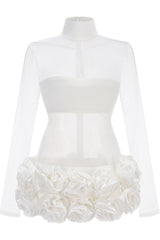 Sally Mock Neck Sheer Mini Dress