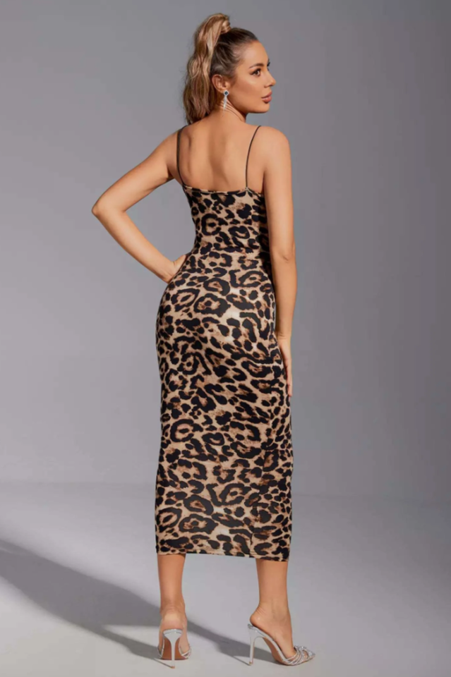 Kailani Leopard Bodycon Dress | Dress In Beauty